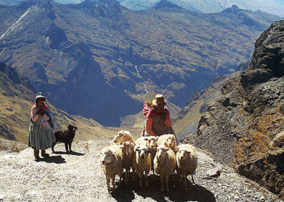 MUJERES AYMARAS PASTOREANDO OVEJAS
